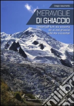 Vaschetto Diego