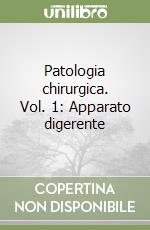 Filingeri Vincenzino; Pallai G. V. (cur.)