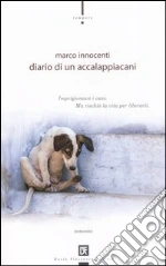 Innocenti Marco