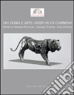 Loi Franco; Lorenzi Fausto; Bonomi Alfredo; Zanetti M. (cur.)