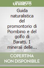 Barsotti Gianfranco; Nannoni Roberto