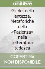 Cometa Michele