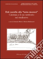 Alberti A. (cur.); Baldassarri M. (cur.)