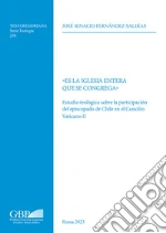 Fernandez Saldias Jos Ignacio