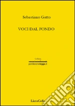 Gatto Sebastiano