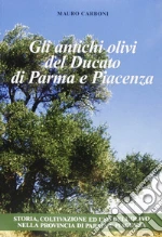 Carboni Mauro