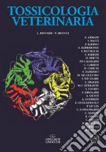 Intorre Luigi; Meucci Valentina