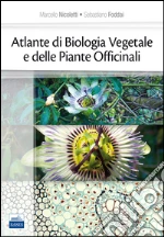Nicoletti Marcello; Foddai Sebastiano
