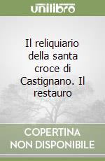 Innocenti C. (cur.)