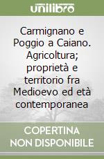 Contini A. (cur.); Toccafondi D. (cur.)