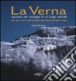 Brunacci Gianni