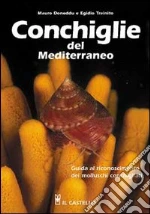 Doneddu Mauro; Trainito Egidio