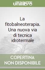 Associazione italiana di tecnica idrotermale (cur.)