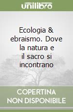 Bernstein E. (cur.)