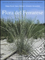 Piccolli Filippo; Pellizzari Mauro; Alessandrini Alessandro