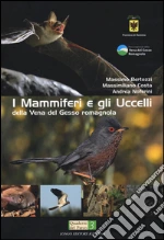 Bertozzi Massimo; Costa Massimiliano; Noferini Andrea