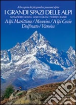 Gogna Alessandro; Milani Marco