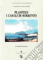 Savarese Anna; Amodio Gaetano; Associazione studi storici sorrentini (cur.)