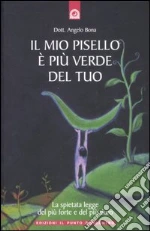 Bona Angelo
