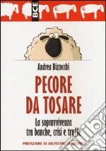 Bizzocchi Andrea