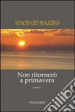 Mazzeo Vincenzo