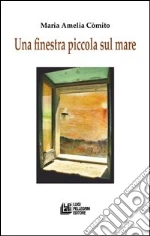 Cmito Maria Amelia