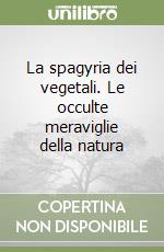 D'Amore Francesco