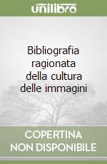 Bibliografia ragionata della cultura delle immagini libro di Benedetti Amedeo