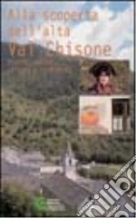 Comunit montana valli Chisone Germanasca (cur.)