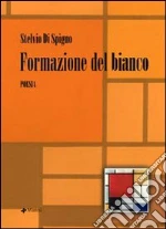 Di Spigno Stelvio