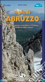 Ardito Stefano