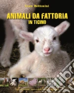 Bettosini Luca