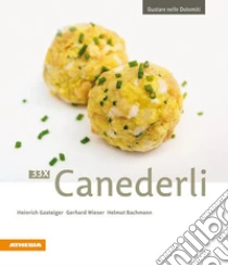 33 x canederli libro di Gasteiger Heinrich - Wieser Gerhard - Bachmann Helmut