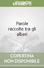 Ruffini Sandro A.