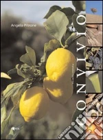 Pitrone Angelo