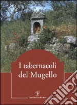 Pinelli M. (cur.); Tagliaferri L. (cur.); Adini C. (cur.)