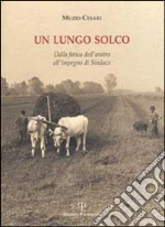 Cesari Muzio; Borsotti A. (cur.)