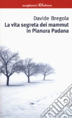 Bregola Davide