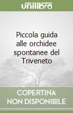Paolucci Paolo