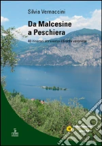 Vernaccini Silvia