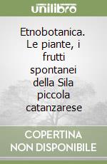 Lupia Carmine