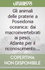 Bedini Roberto