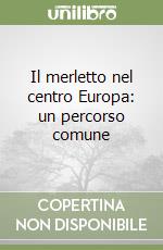 Mauri M. (cur.)