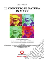 Schmidt Alfred; Bellofiore R. (cur.)