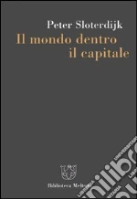 Sloterdijk Peter; Bonaiuti G. (cur.)