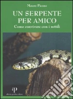 Picone Mauro