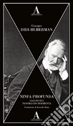 Didi-Huberman Georges