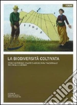 Miceli F. (cur.); Costantini E. (cur.)
