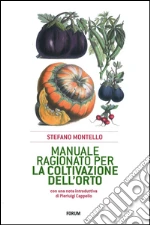Montello Stefano