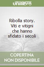 Costantini Enos